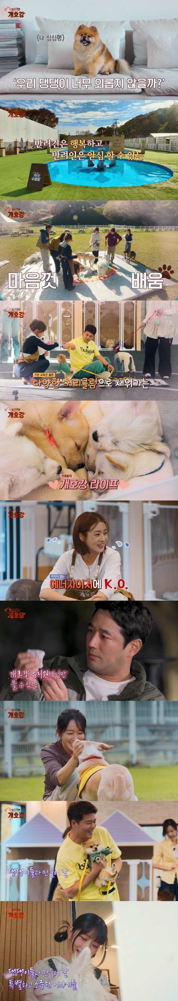 전현무, '개호강 유치원' 운영한다…조한선→아이브 레이 손잡고 동업