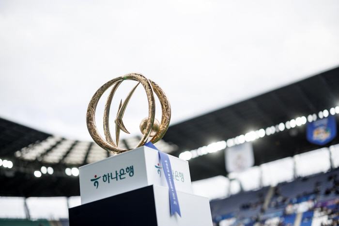 "축구가 우습나" 1부 승격 첫 시즌, 선넘은 FC안양 구단주의 '자가당…
