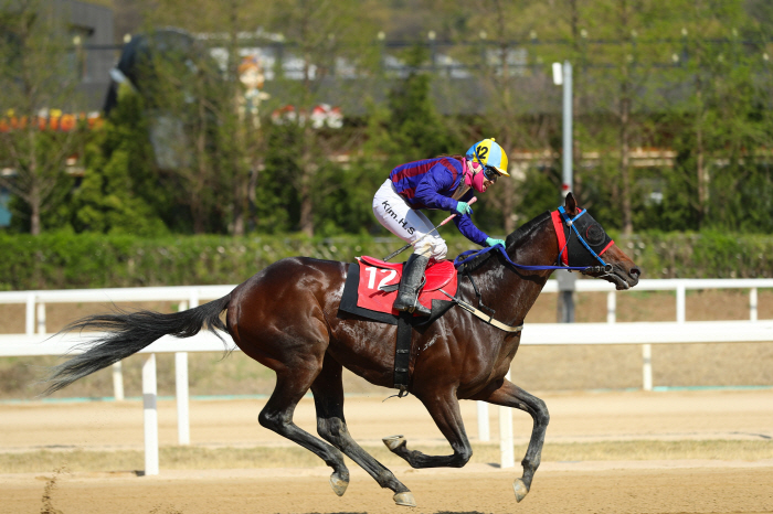 [경마]韓최강마 '글로벌히트' 폭풍질주 막아라! 부산광역시장배 자존심 한…