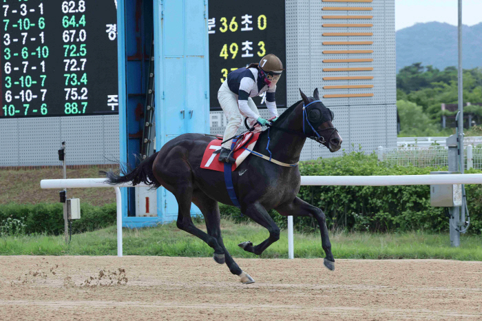 [경마]韓최강마 '글로벌히트' 폭풍질주 막아라! 부산광역시장배 자존심 한…