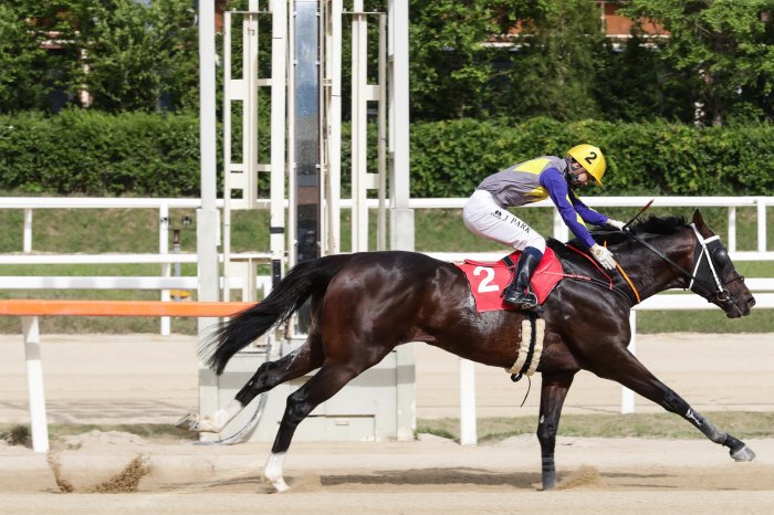 [경마]韓최강마 '글로벌히트' 폭풍질주 막아라! 부산광역시장배 자존심 한…