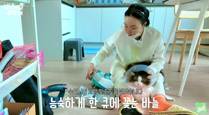 ‘54세’ 김정난, 혼자사는 '3층집'서 노묘 6마리 육아 "수액 맞히고…