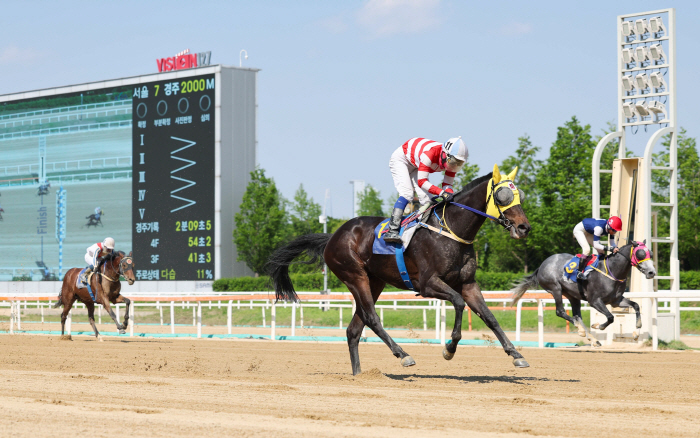 [경마]첫 2000m 출전-컨디션 난조 속 대역전극! 스포츠조선배 제패 …