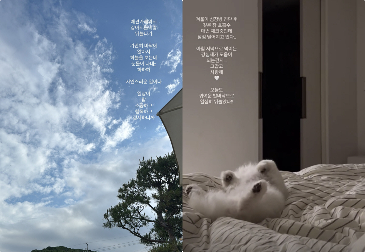 ‘여성암 투병’ 이솔이, 반가운 근황 "심장병 앓는 겨울, 호흡수 점점 …