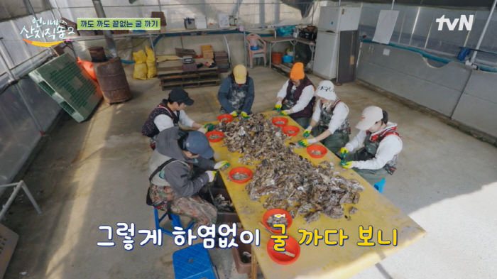 '언니네 산지직송' 사로잡은 '바다의 우유' 굴…심혈관 건강에 좋은 이유…
