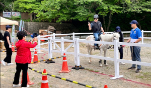 [부산소식] 태종대유원지서 매주 주말 승마 체험