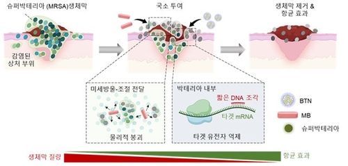 슈퍼박테리아가 만든 보호막, 미세방울로 뚫는다