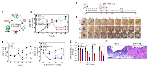 [KAIST 제공. 재판매 및 DB 금지]