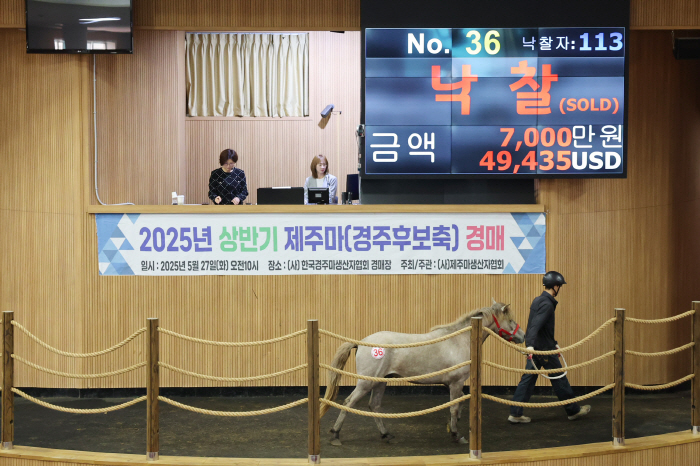 [경마]2025년 첫 제주마 경매, 최고가 7000만원 낙찰
