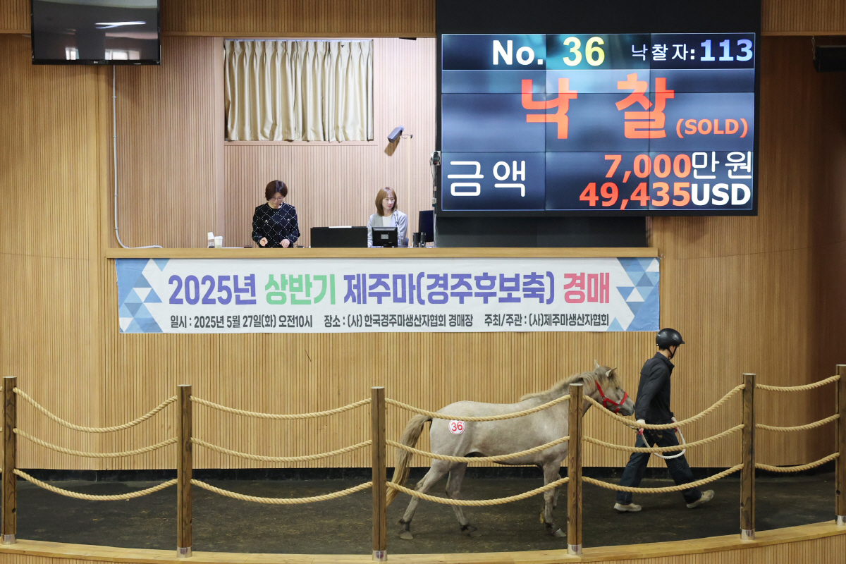 [경마]2025년 첫 제주마 경매, 최고가 7000만원 낙찰