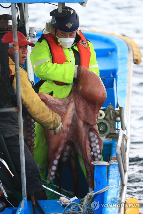 [연합뉴스 자료사진]