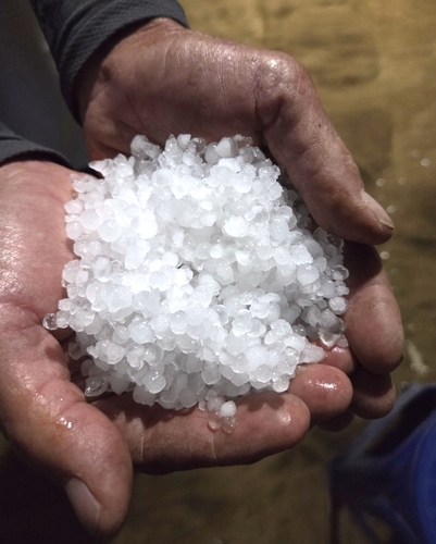 [영동군 제공. 재판매 및 DB금지]