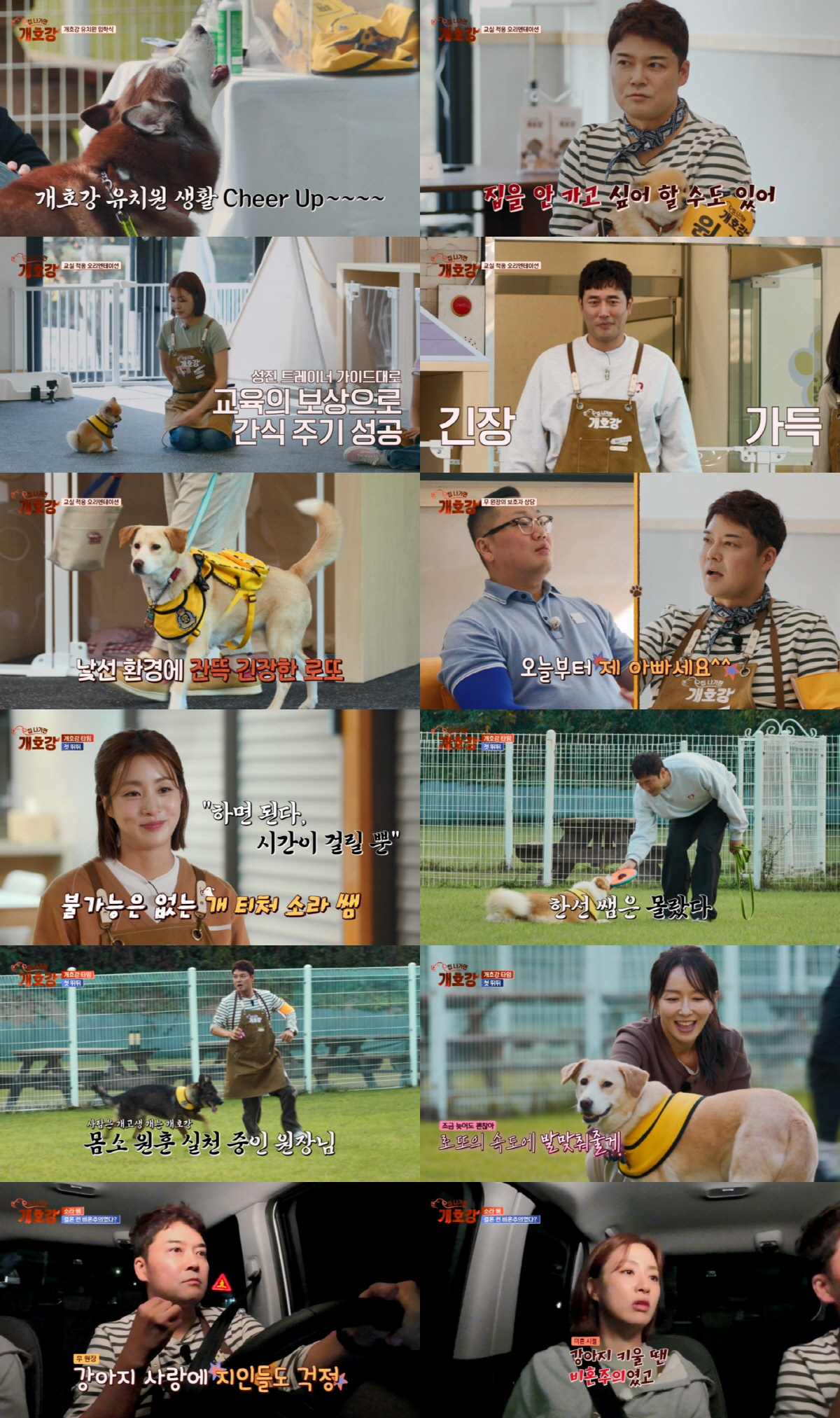 '애둘맘' 강소라, 비혼주의 고백.."아기 봐도 예쁘지가 않았다"('집 …