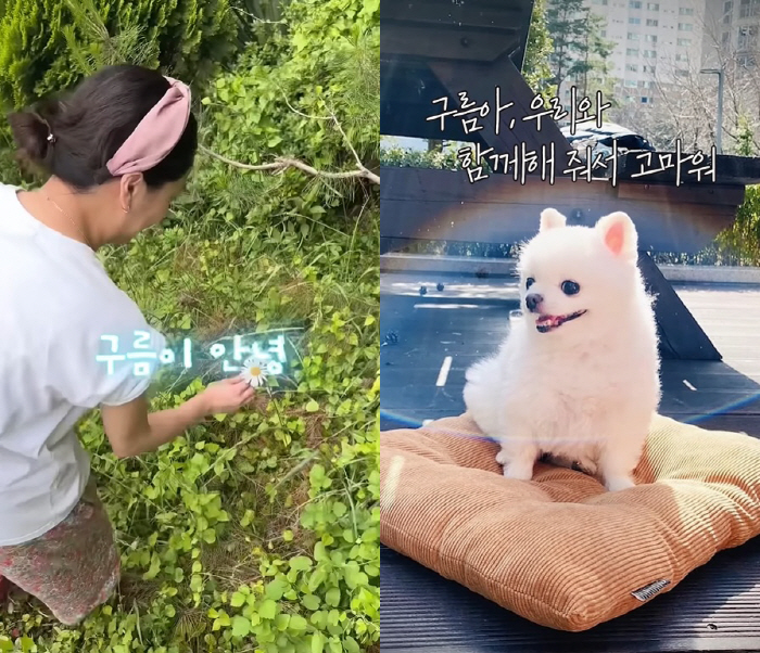 고은아, 갑작스러운 이별에 오열 "심장병 앓던 반려견 떠나, 눈물 안 멈…