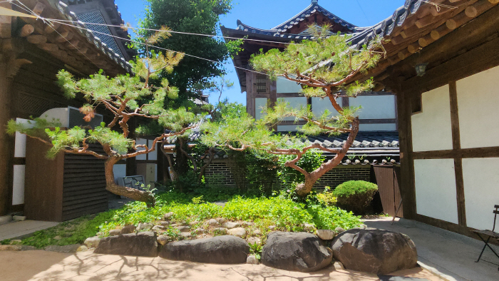 전북 현대, 전주한옥마을 정원 조성 후원