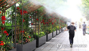대전·세종·충남 낮 최고 29도…일부 지역 강풍