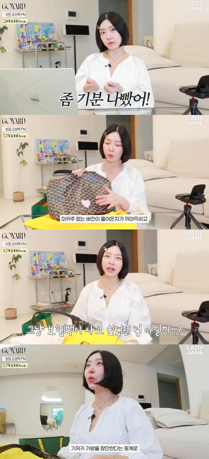 레이디제인, 기저귀 가방은 핑계..300만원대 명품백 구입