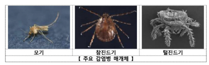 기후변화로 매개체 전파 감염병 위험 ↑…모기·진드기 피해 예방 생활수칙은…