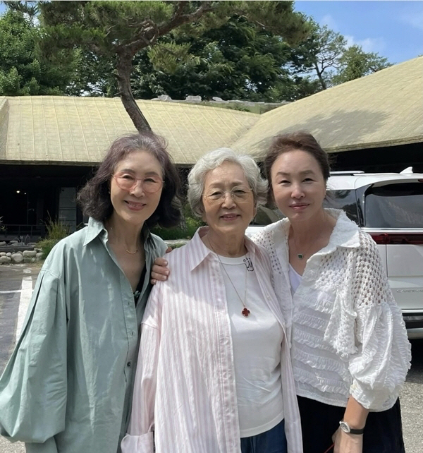 [SCin스타] 다 합치면 600살? 김영옥부터 강부자·반효정·김미숙까지…