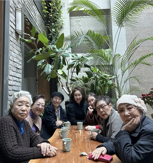 [SCin스타] 다 합치면 600살? 김영옥부터 강부자·반효정·김미숙까지…