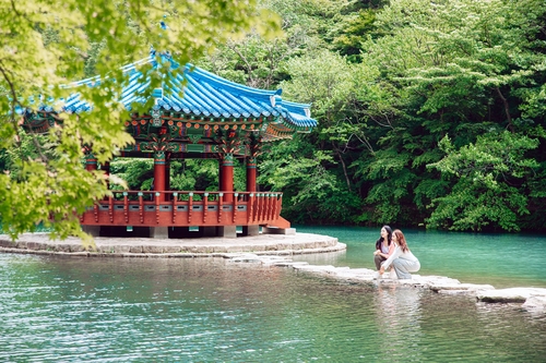 [픽! 정읍] 내장산 우화정 등 명소 10곳서 '감성 사진 한 컷'