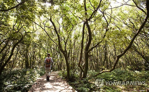제주곶자왈도립공원, 영어 숲 해설 프로그램 운영