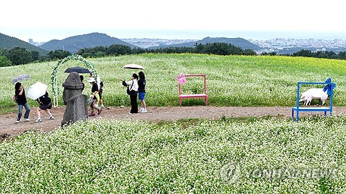 제주·남해안에 많은 비…수도권 낮 최고 31도 더위