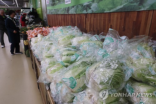 여름배추 25% 줄어…정부, 금배추 우려에 "가용수단 총동원"