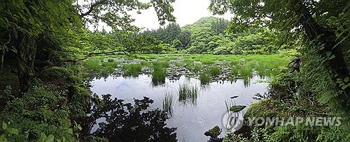 제주 오전까지 비…예상 강수량 20∼70㎜