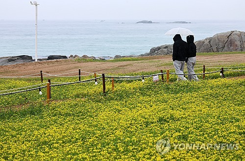 강원 흐리다가 오후에 비…예상 강수량 5∼30㎜