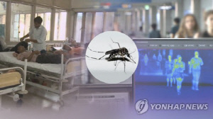 전북서 올해 첫 뎅기열 환자 발생…태국 여행 후 발열 증상