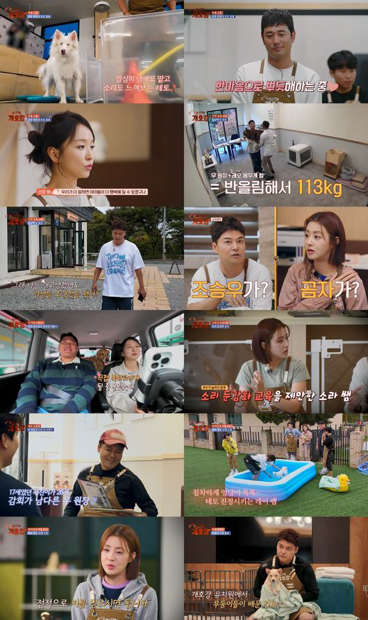 [SC리뷰] "숨 좀 쉬자" 전현무, 30분 달린 허스키에 녹초…다이어트…