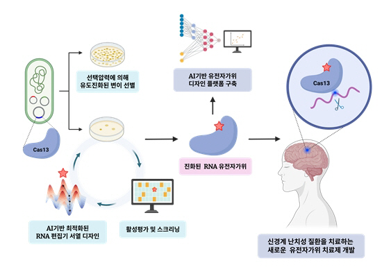 파킨슨병·루게릭병 치료 길 열리나?…'차세대 RNA 편집 연구' 본격화