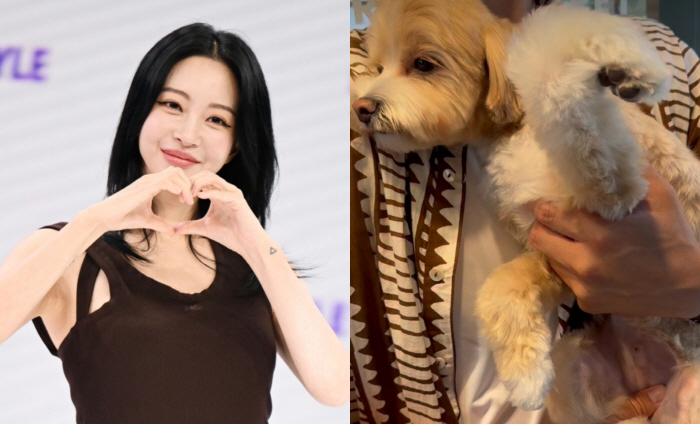 ‘10살 연하♥’ 남편과 여행 마친 한예슬 “가슴 두근거리고 감정 소화 안 돼” 예상 못한 사고에 눈물