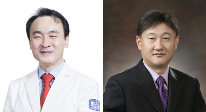 뼈 재생 촉진 고기능성 생체재료 플랫폼 개발…재생의료 적용 기대