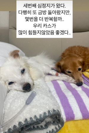 결혼 앞둔 김하영, 깊은 슬픔 “세 번째 심정지, 기적 바란다”