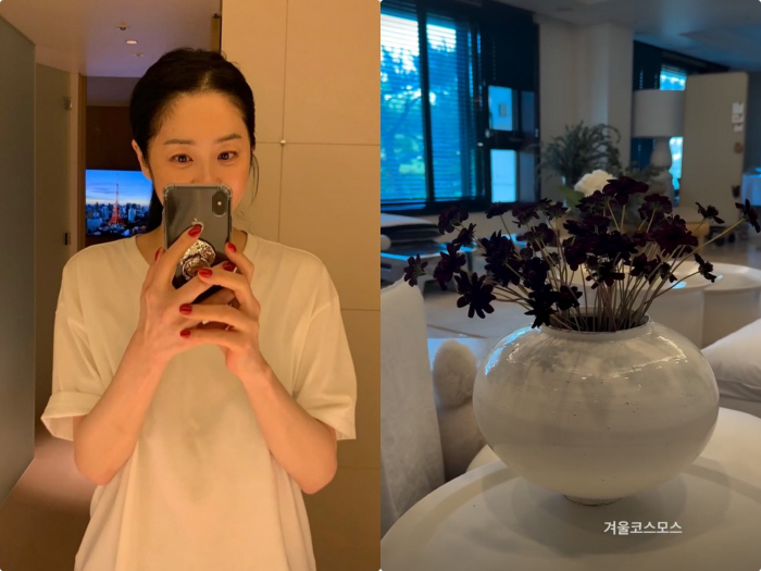 고현정, '식물원' 뺨치는 럭셔리家 자랑..감각적인 플랜테리어