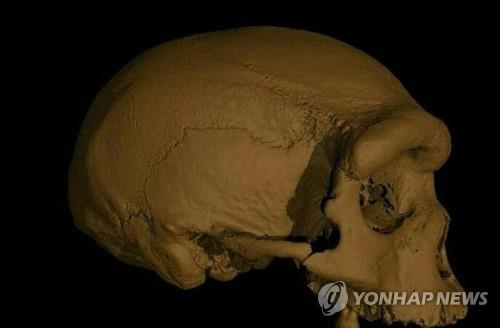 [사이테크+] "하얼빈에서 발견된 고대 인류 두개골 주인공은 데니소바인"