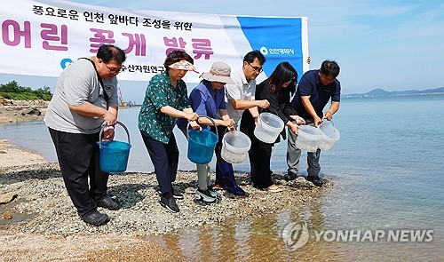 인천시, 을왕해역에 어린 꽃게 70만마리 방류