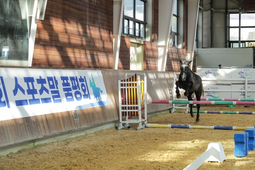 한국마사회, 2025년 국산마 품평회 및 어린말 승마대회 개최