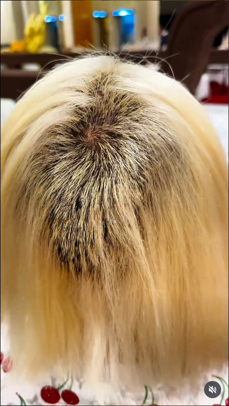 DJ소다, 탈색 사고도 억울한데 미용실 협박까지?…"500만 원 줄 테니…