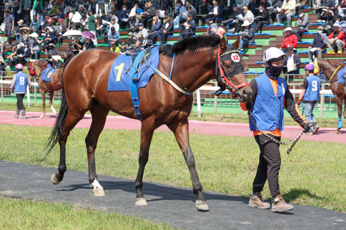 [경마]절대강자 없는 2000m 결전, 승자는?