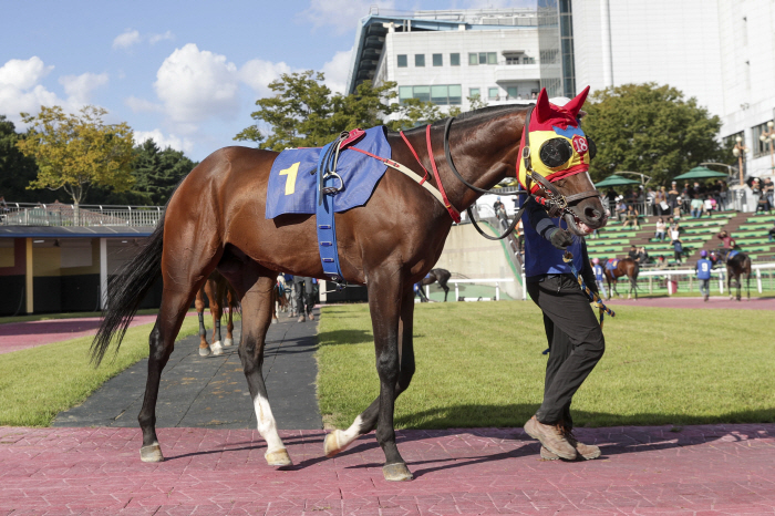 [경마]절대강자 없는 2000m 결전, 승자는?