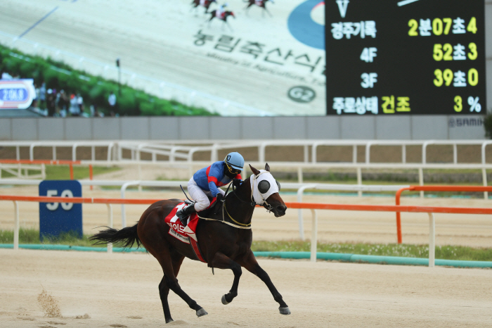 [경마]오아시스블루 삼관 좌절! 다크호스 마이드림데이, 농림축산식품부장관…