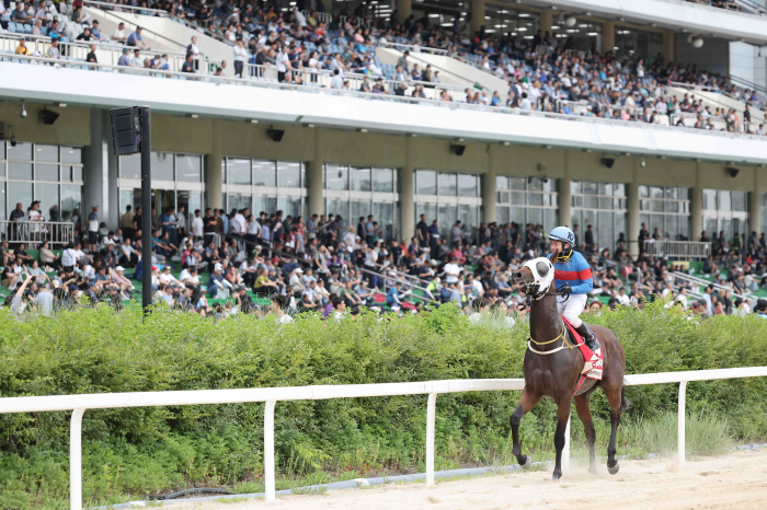 [경마]오아시스블루 삼관 좌절! 다크호스 마이드림데이, 농림축산식품부장관…