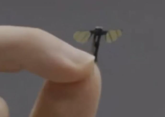 中 모기 크기 자율 비행 로봇 개발…길이 2㎝에 무게 0.3g 미만