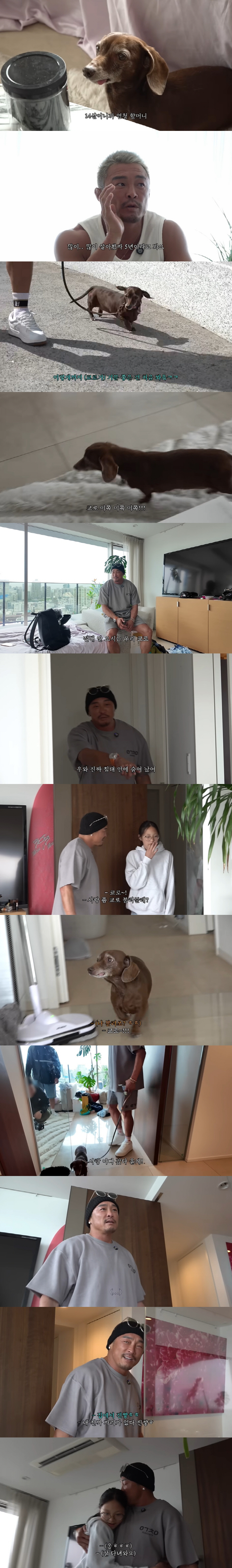 추성훈, 딸 사랑·반려견 불러도 '無대답'..."이래서 화장실이 제일 편…