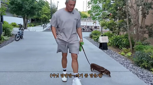 추성훈, 14살 노견 쿄로에 애틋 