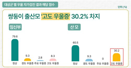 '초보 쌍둥이 엄마' 10명 중 3명은 '고도우울증' 경험…출산 12주 …