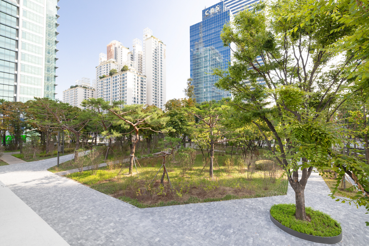 도심 숲 조성 나선 대한항공…2차 그린 스카이패스 프로젝트 진행